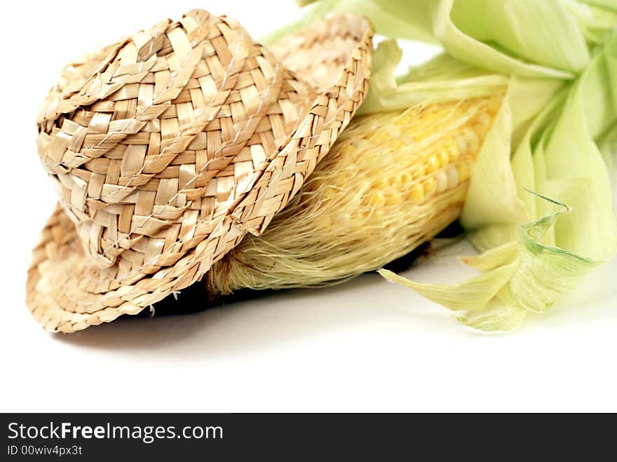 Corn Harvest