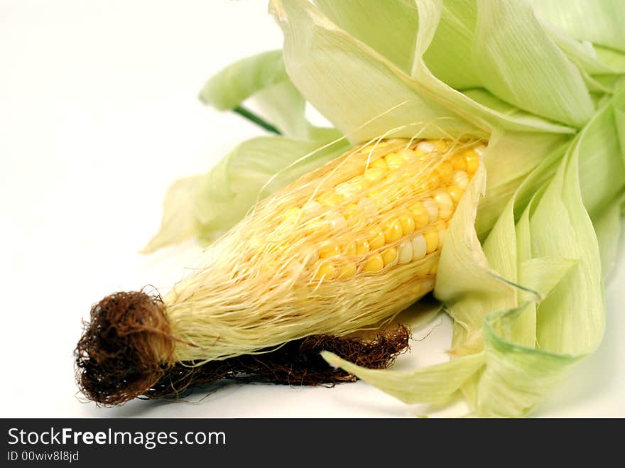 Fresh ear of corn over a white background. Fresh ear of corn over a white background