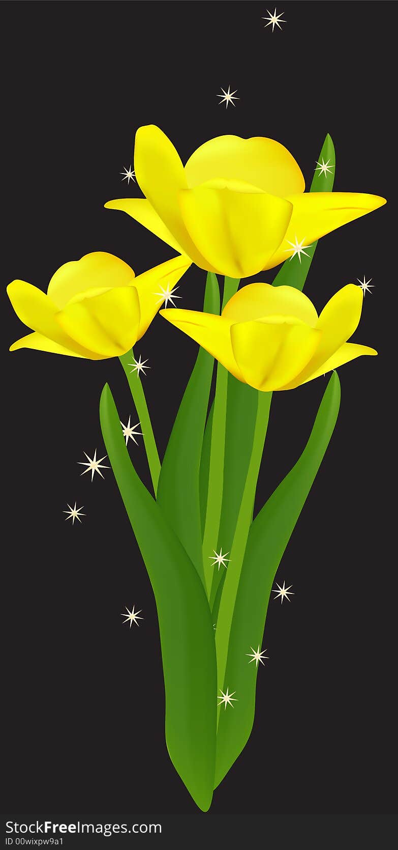 Beautiful yellow tulips. Vector illustration. Beautiful yellow tulips. Vector illustration