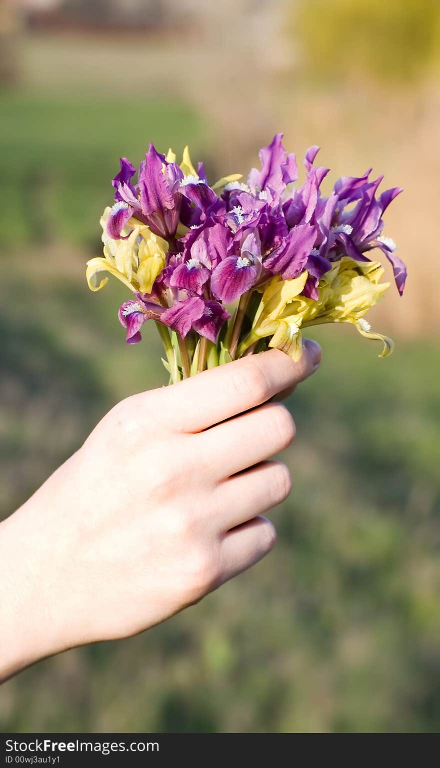 Bouquet Over Field Background