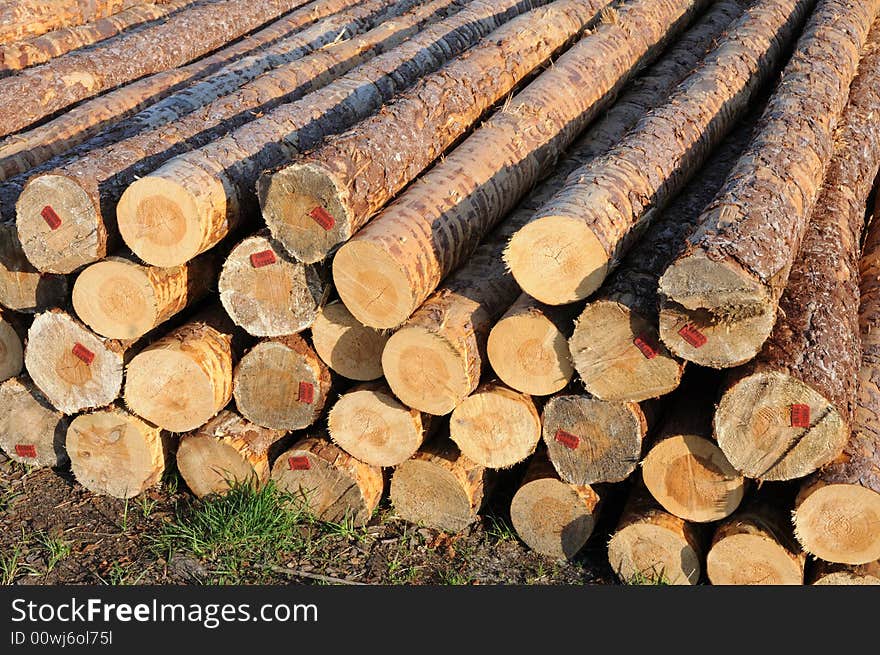 Stacked timber logs ready for processing