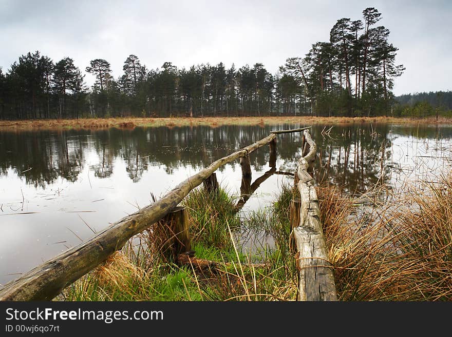 A lake in forest and blue sky