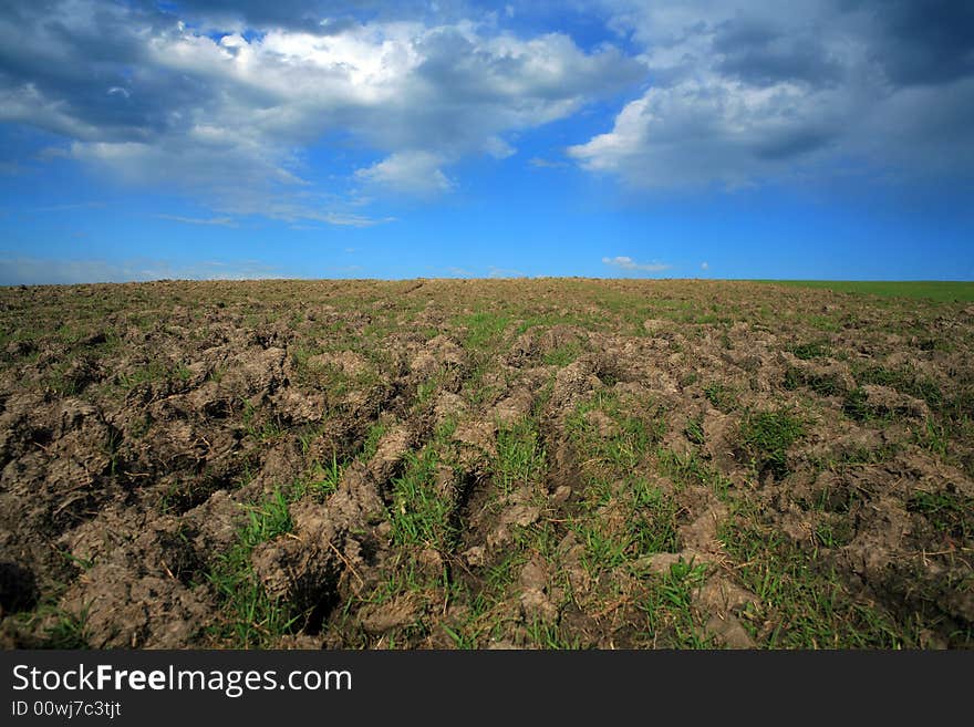 Field with some grass