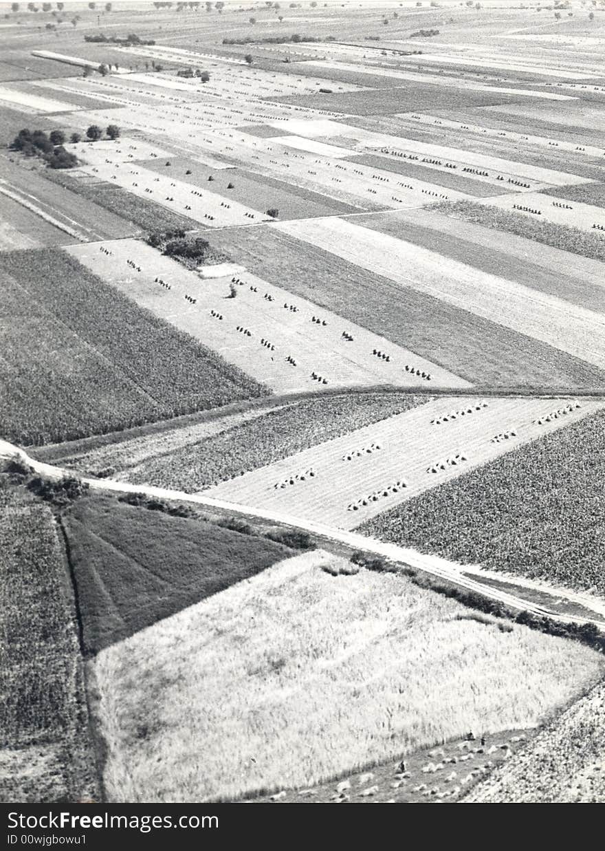 Areal photo of fields in Slavonia - Croatia. Areal photo of fields in Slavonia - Croatia