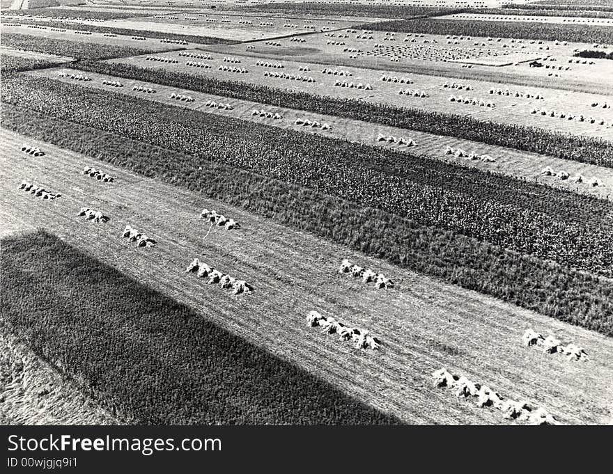 Areal photo of fields in Slavonia - Croatia. Areal photo of fields in Slavonia - Croatia