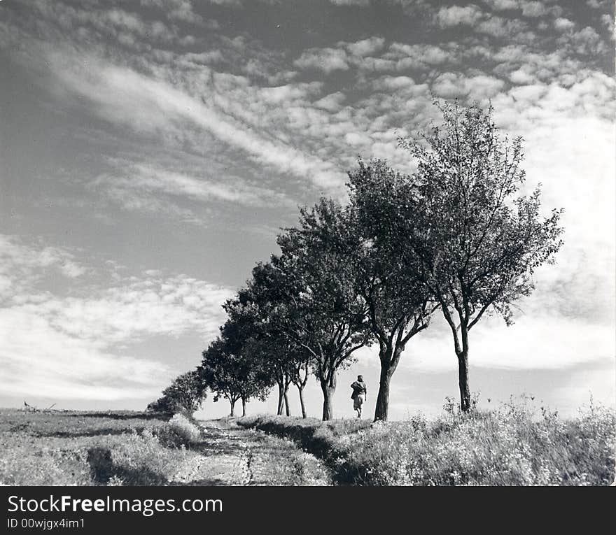 Areal photo of fields in Slavonia - Croatia. Areal photo of fields in Slavonia - Croatia