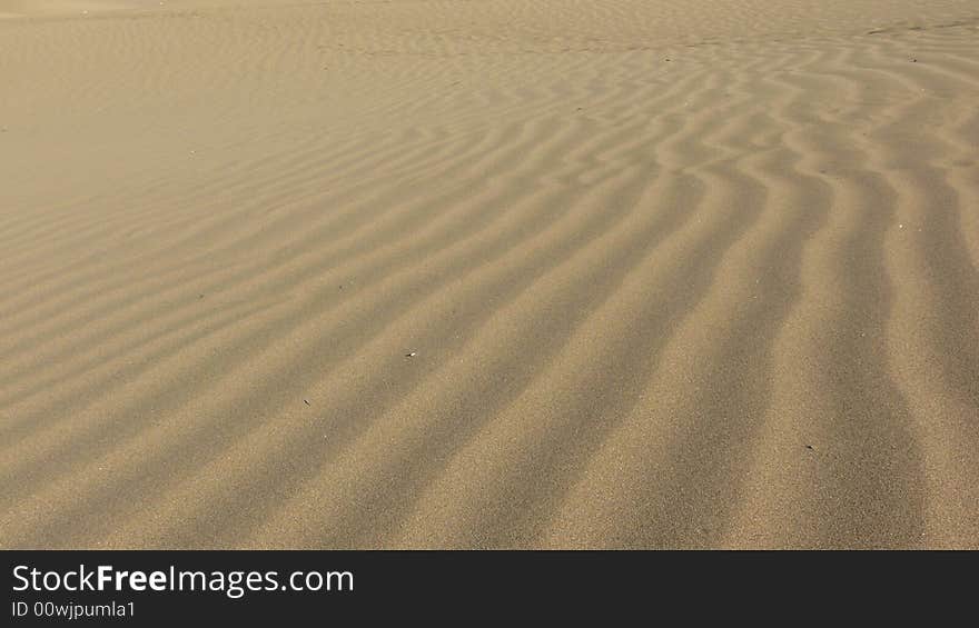 Texture of sand.View of  Canaries dunes in the Gran Canaria's island. Texture of sand.View of  Canaries dunes in the Gran Canaria's island