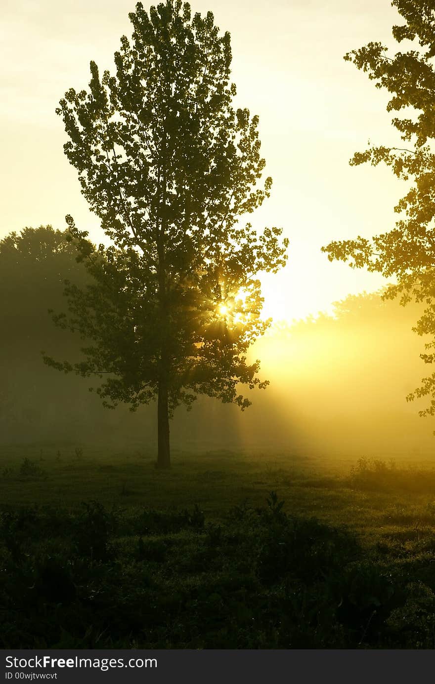 Sunrise in the foggy morning