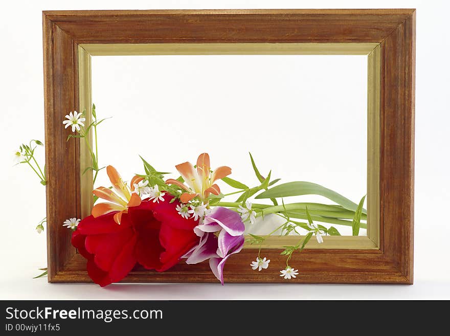 The framework with the bouquet it is flowering against the white background. The framework with the bouquet it is flowering against the white background