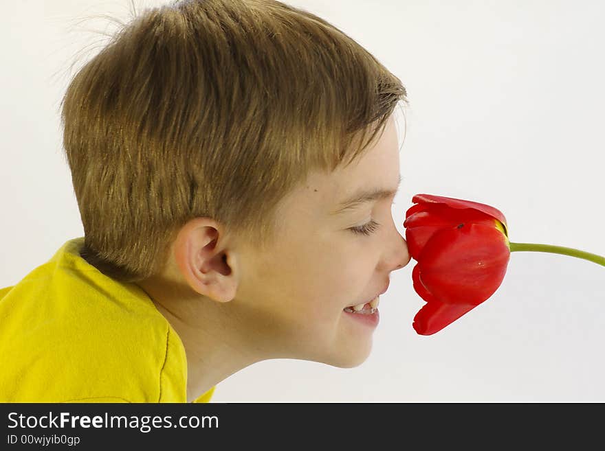 Small boy in the yellow sports shirt smells red flower and laughs. Small boy in the yellow sports shirt smells red flower and laughs