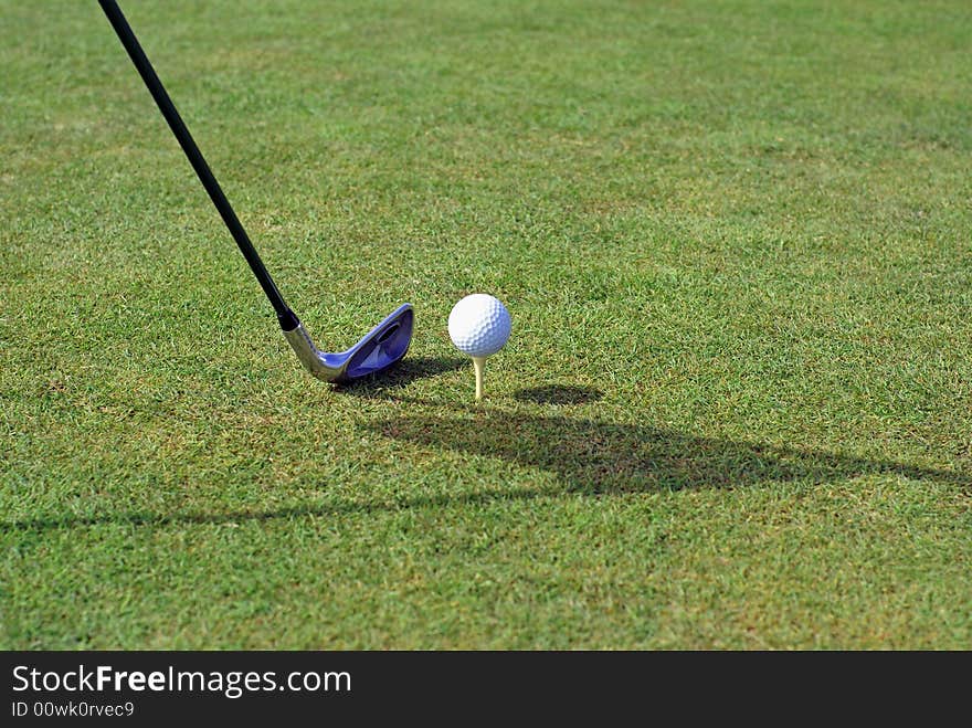 Golf ball in tall green grass. Golf ball in tall green grass