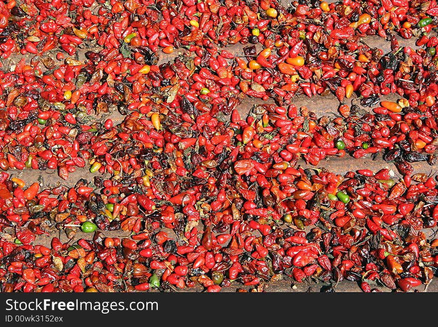 Chillies drying naturally