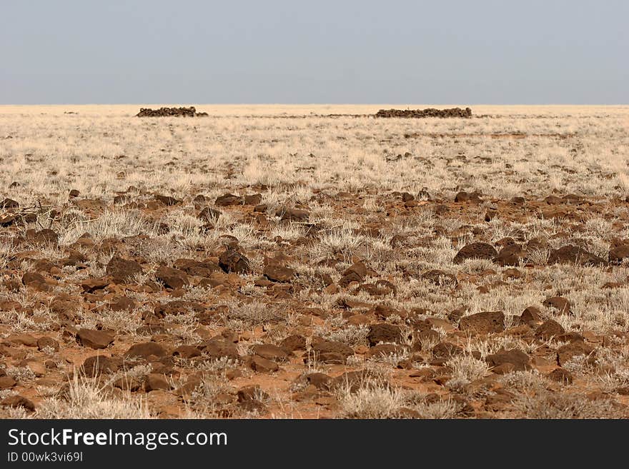 Feature land with drought countryside. Desert North Horr. Kenya