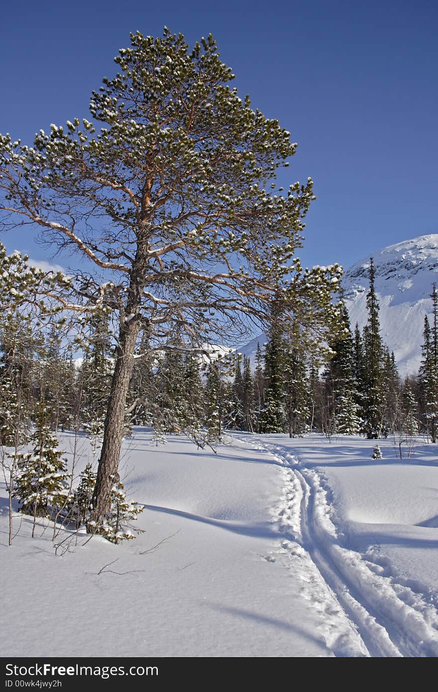 Ski-road in the mountain