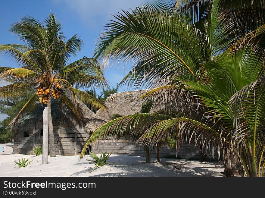 Sleeping on the beach near Playa del Carmen. Tulum. Yucatan. Mexico