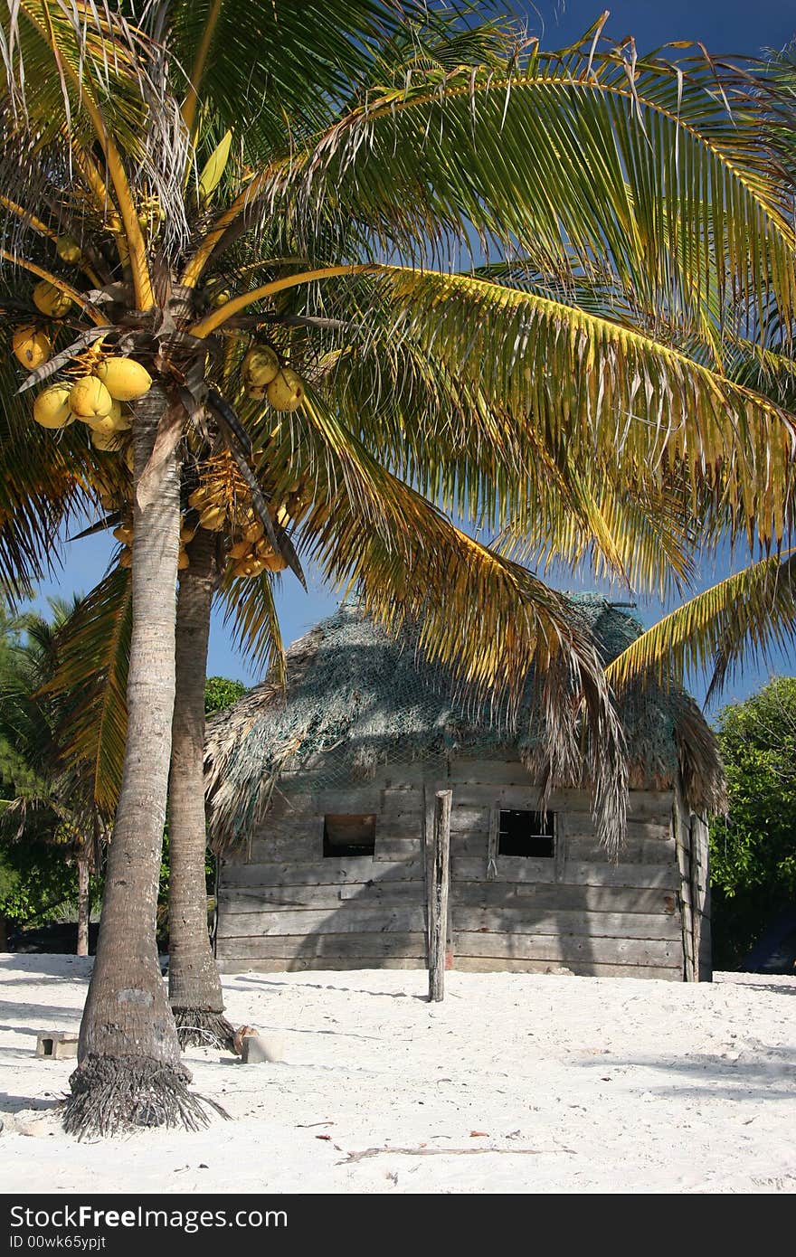 Sleeping on the beach near Playa del Carmen. Tulum. Yucatan. Mexico