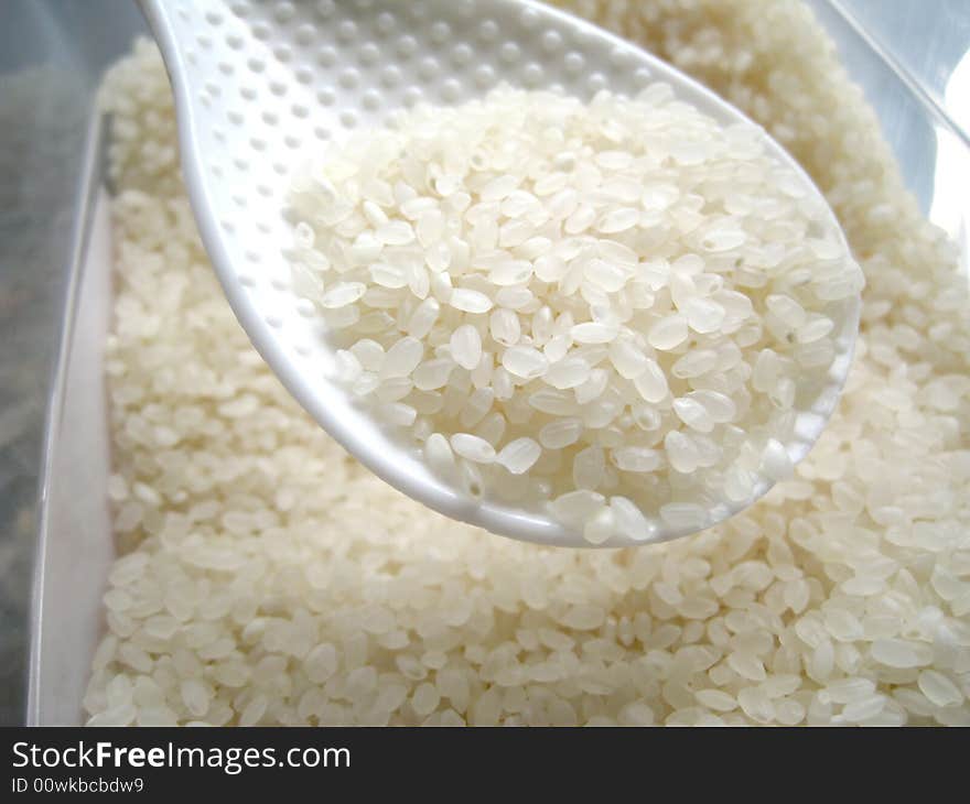 Rice