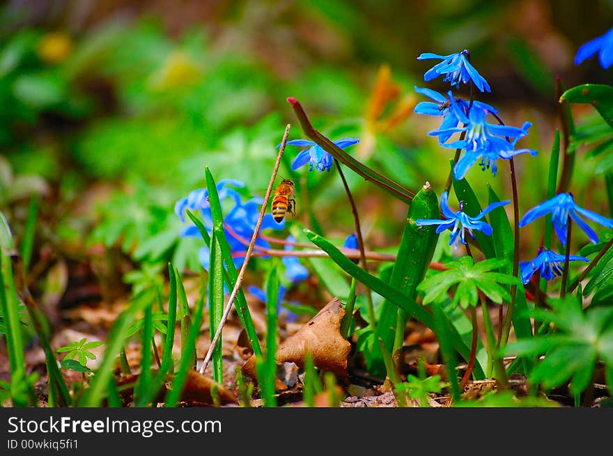 This photo was taken at a local open air garden center. This photo was taken at a local open air garden center.