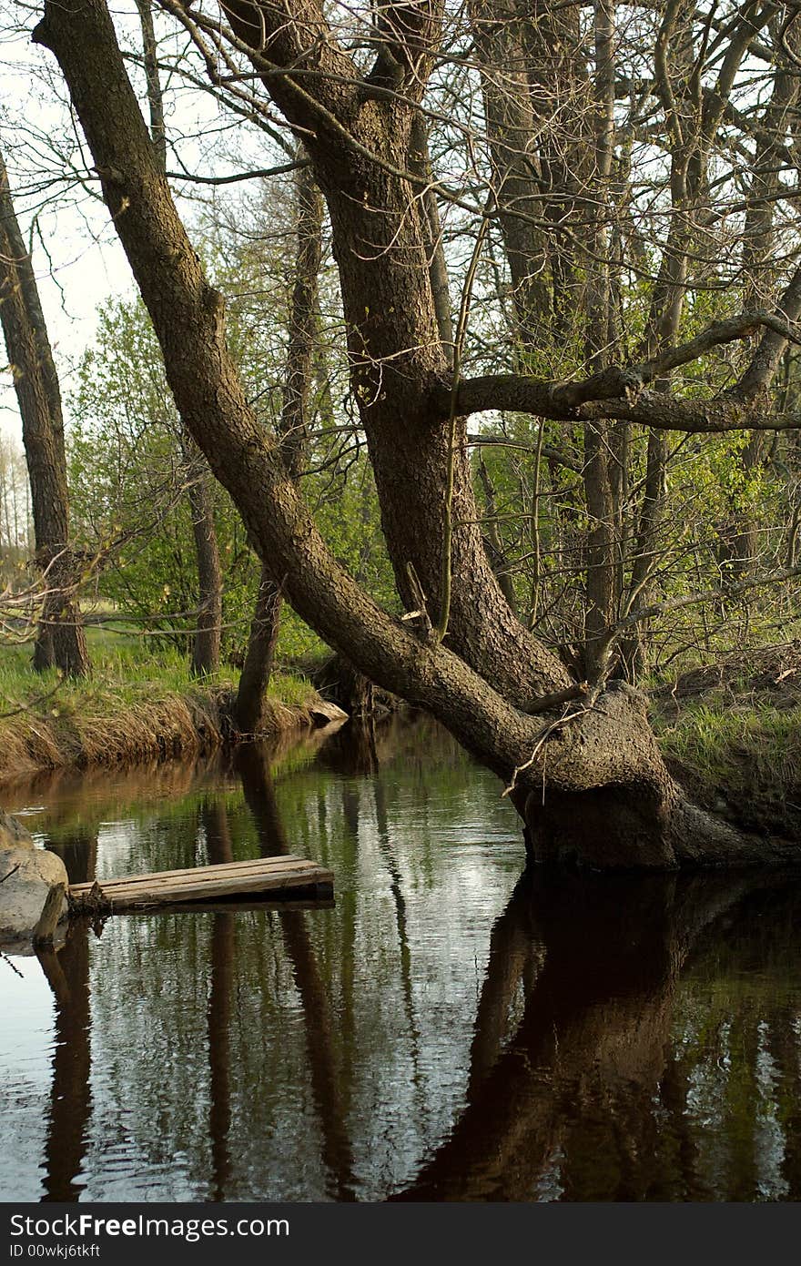 Small calm forest river at a spring time