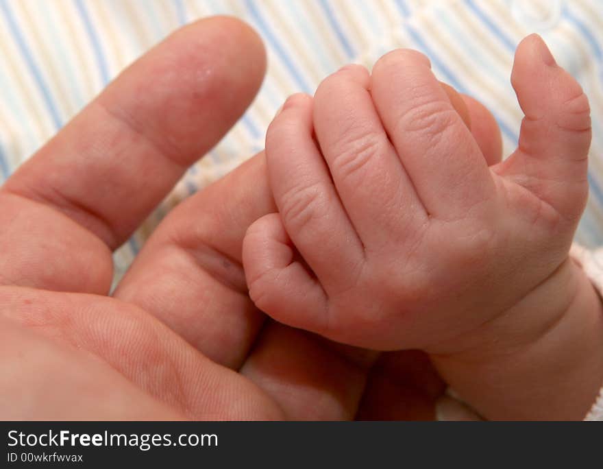 A detail of a mother's hand with a baby's hand. A detail of a mother's hand with a baby's hand