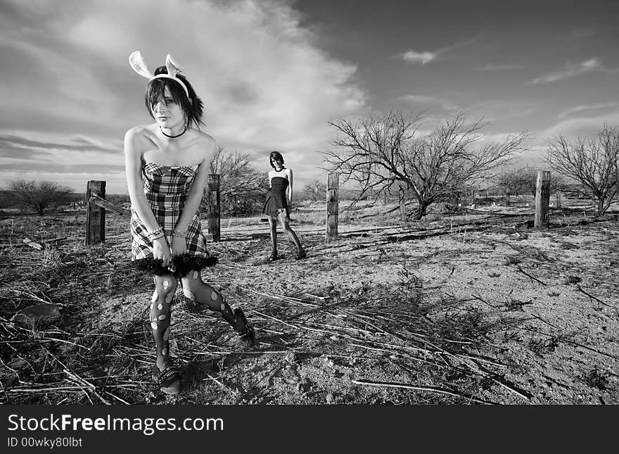 Two punk girls posing in a rural setting. Two punk girls posing in a rural setting