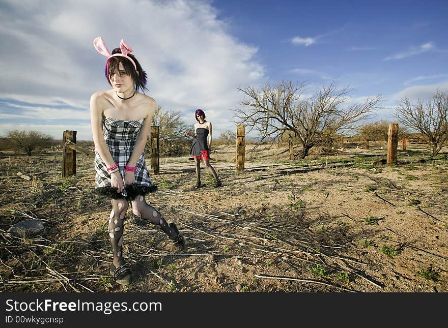 Two punk girls posing in a rural setting. Two punk girls posing in a rural setting