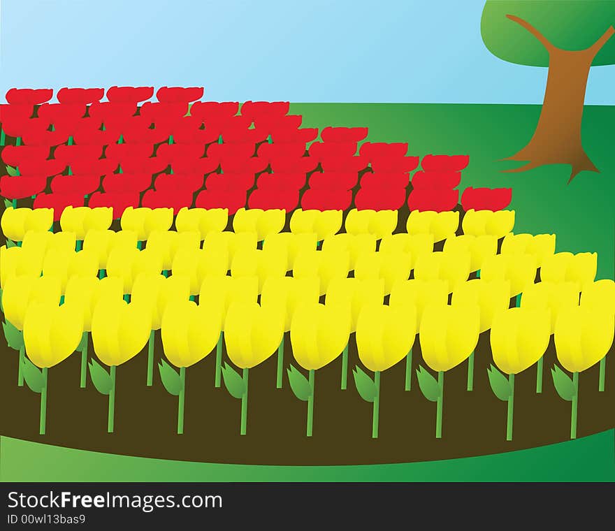 Illustration of flowerbed with yellow and red tulips