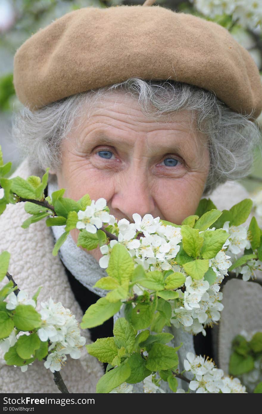 Happy granny smells white flowers in spring garden