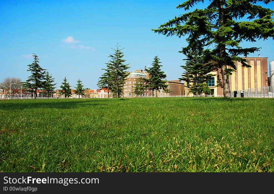 Green Park in the city