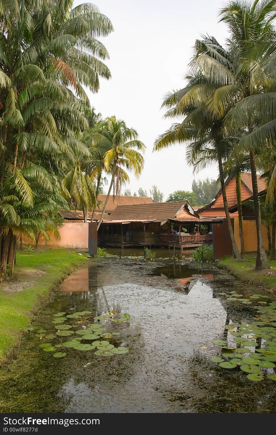 Water garden with sheds and palms