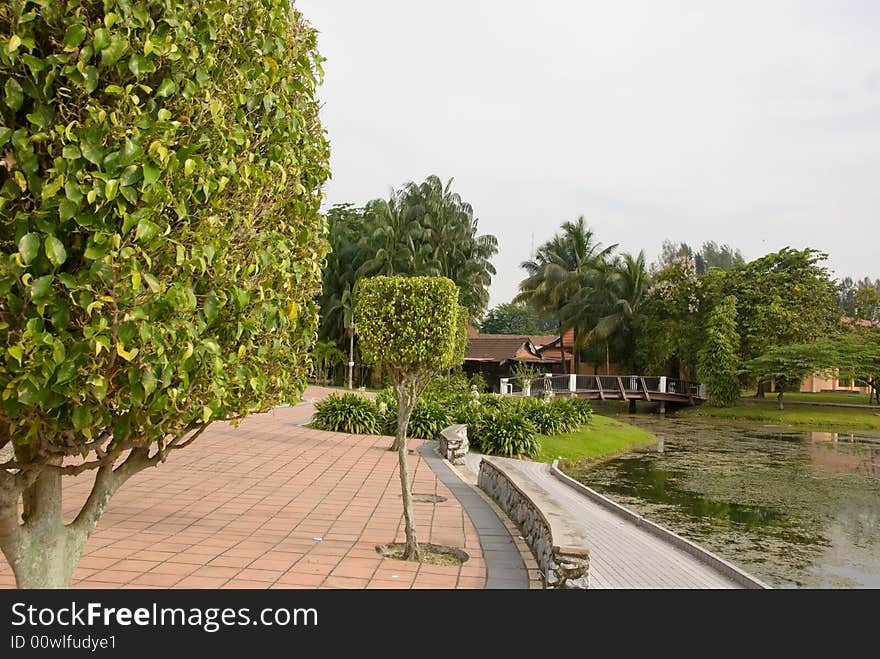 Water garden with trees and pond