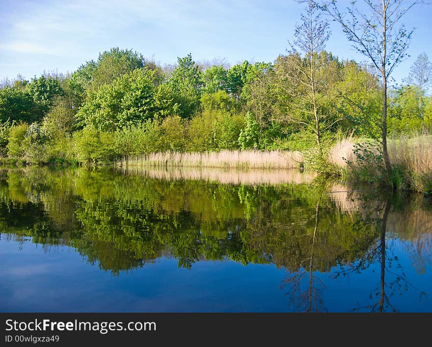 Beautiful lake, view from the water. Trees reflected in water.