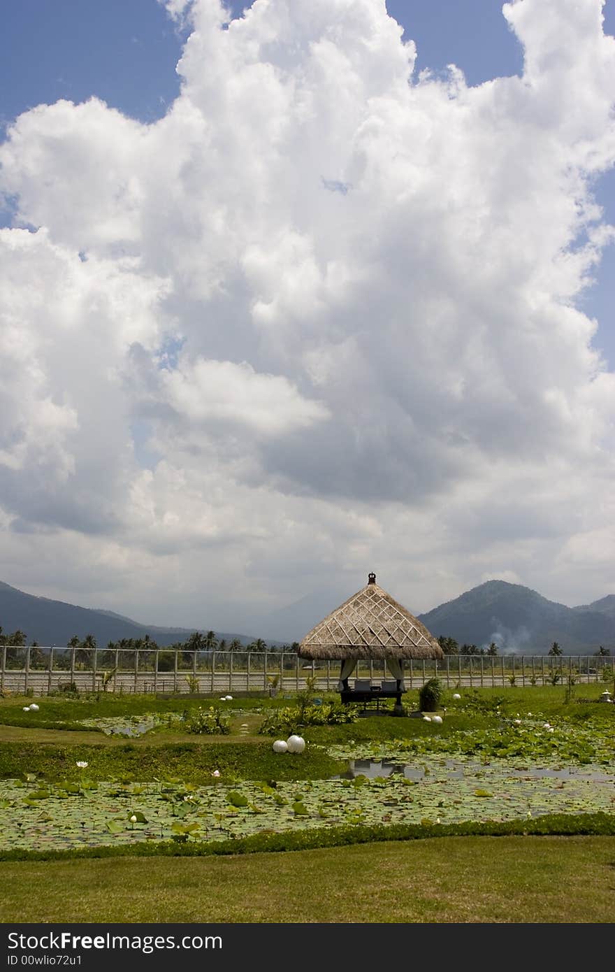 A massage hut in the middle of a garden