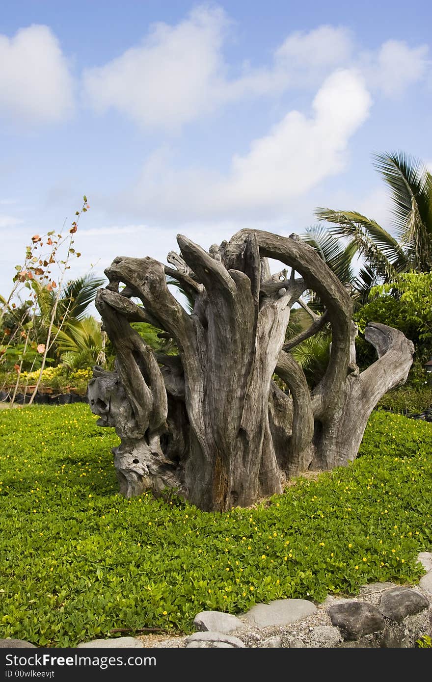 Wooden Sculpture