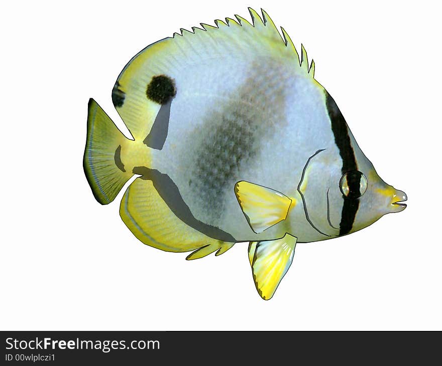 Funny cartoon style butterflyfish. Computer Generated Image, 3d models. Funny cartoon style butterflyfish. Computer Generated Image, 3d models