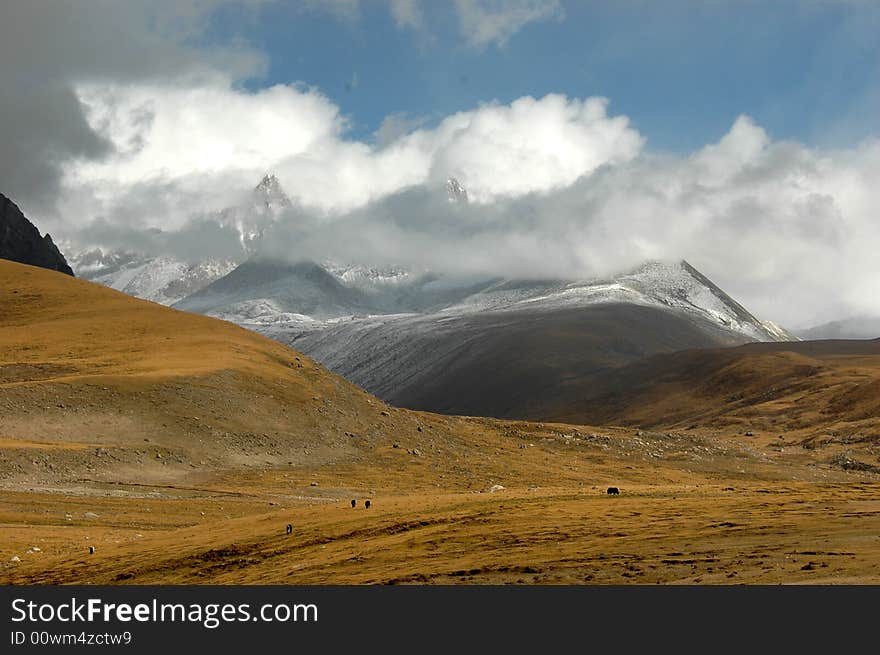 The mountain pasture in the Tibet Plateau under the great expanse of clouds ,Dangxiong,Lhasa,Tibet,China. The mountain pasture in the Tibet Plateau under the great expanse of clouds ,Dangxiong,Lhasa,Tibet,China.