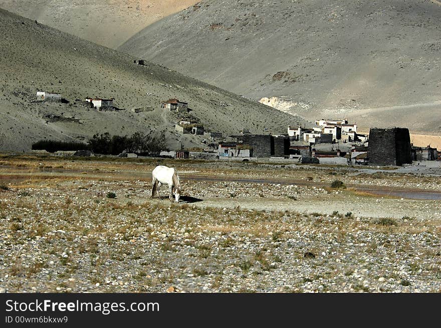 A lonely tibetan mountainous village with grassland. A lonely tibetan mountainous village with grassland.