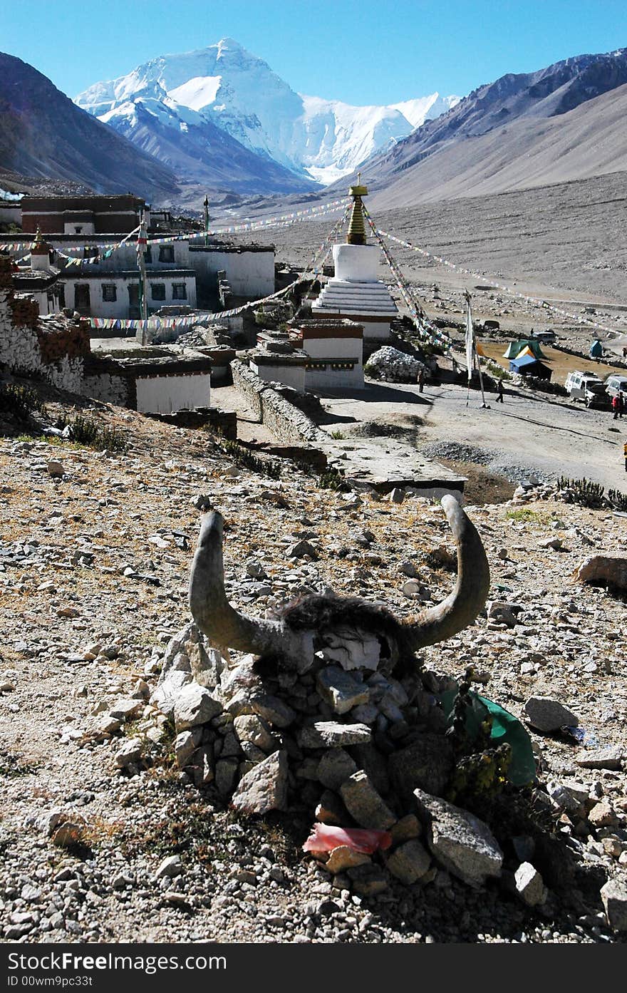 The Tibetan Lama temple at the foot of the Everest Peak.The Yak head sacrifice on a stone pile in the tibetan buddhist worship ceremony. The Tibetan Lama temple at the foot of the Everest Peak.The Yak head sacrifice on a stone pile in the tibetan buddhist worship ceremony.