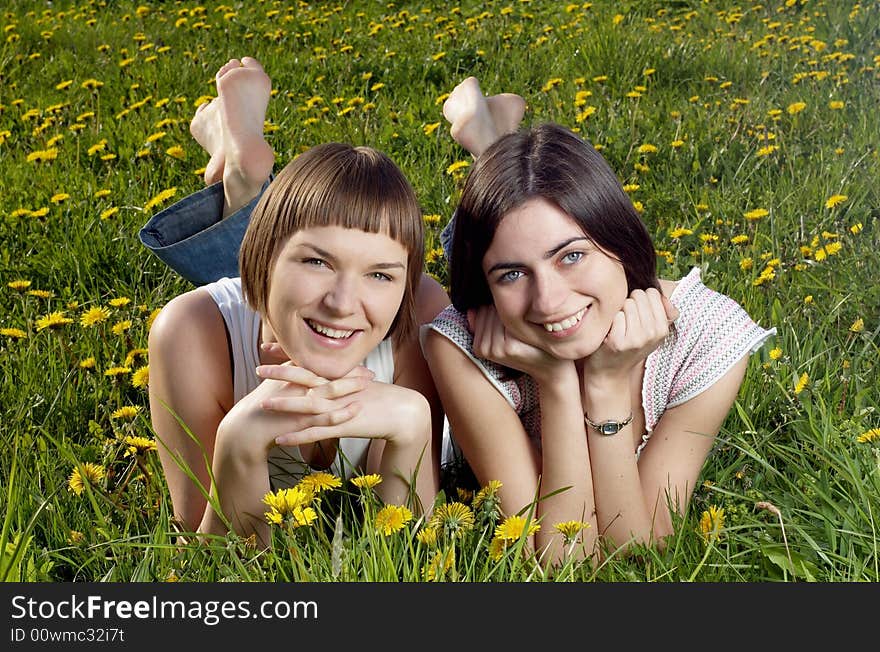 Two friends lying on a meadow. Two friends lying on a meadow