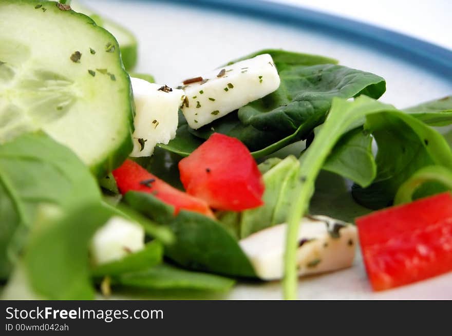 Fresh Green and Red Salad 1