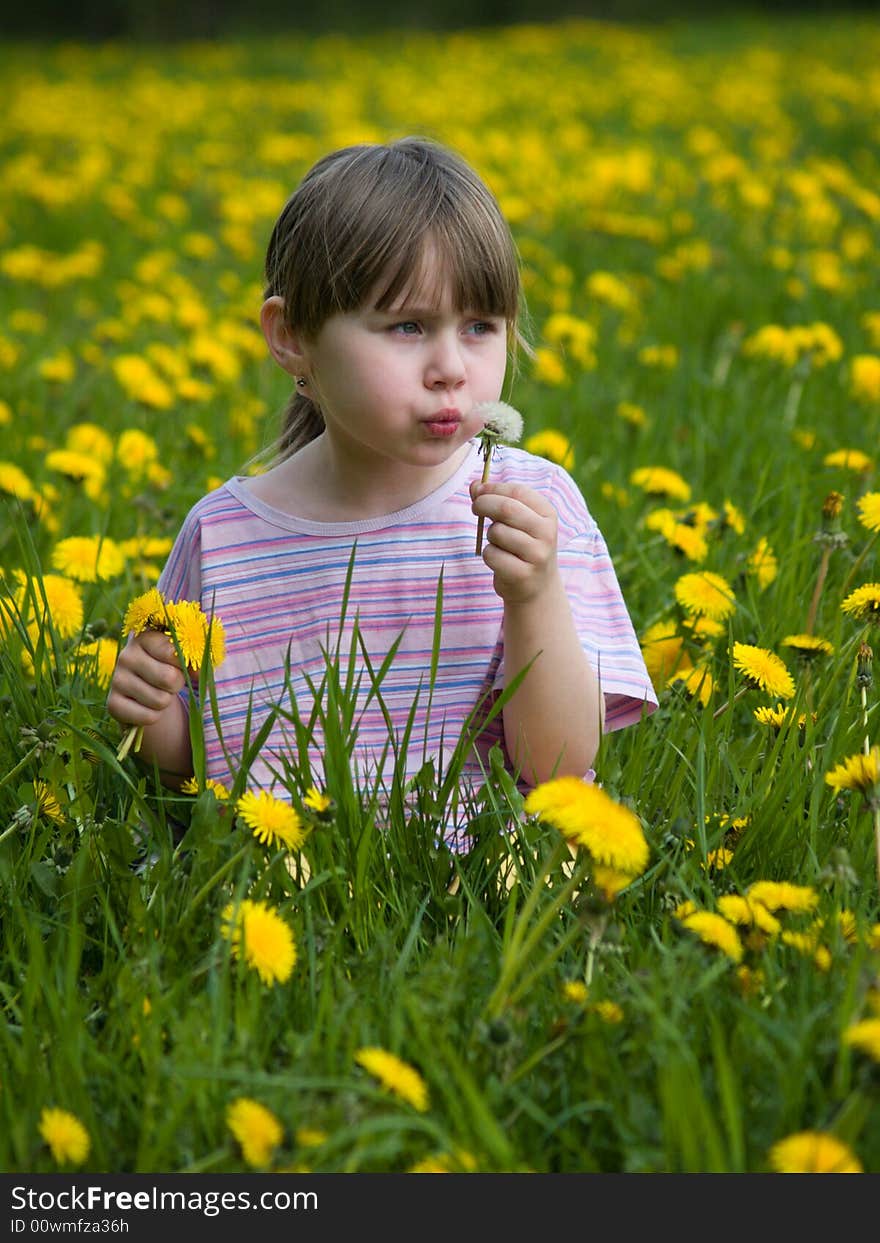 Little girl in the flowering field