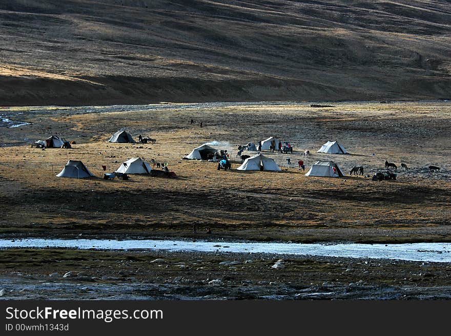 The tents on the pasture