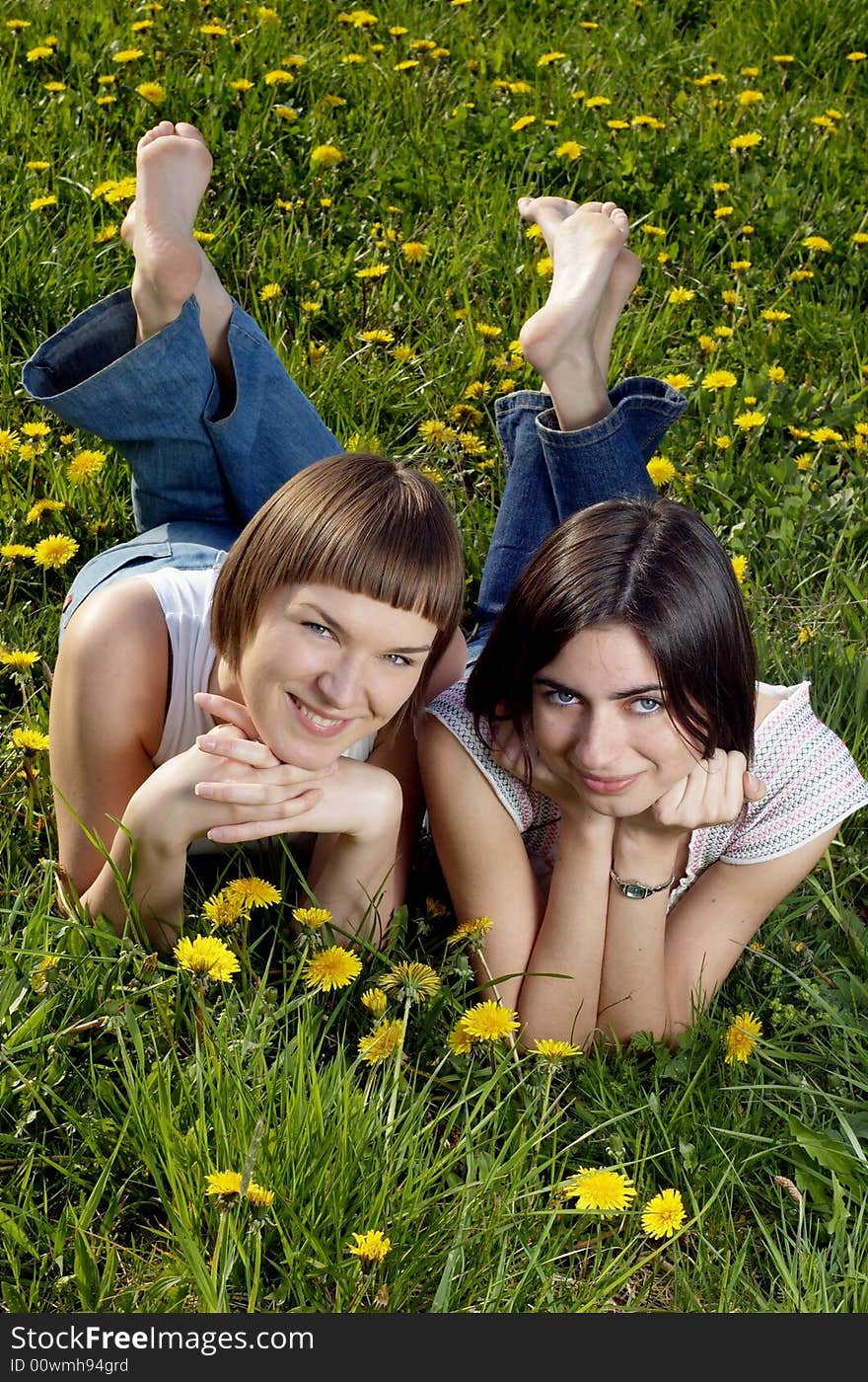 Two friends lying on a meadow. Two friends lying on a meadow