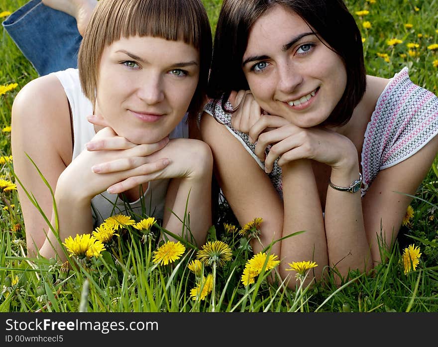 Two friends lying on a meadow. Two friends lying on a meadow