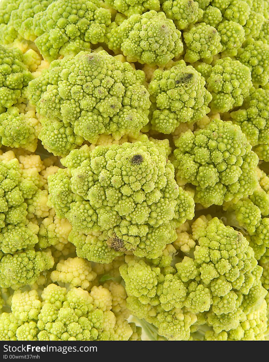 Broccoli