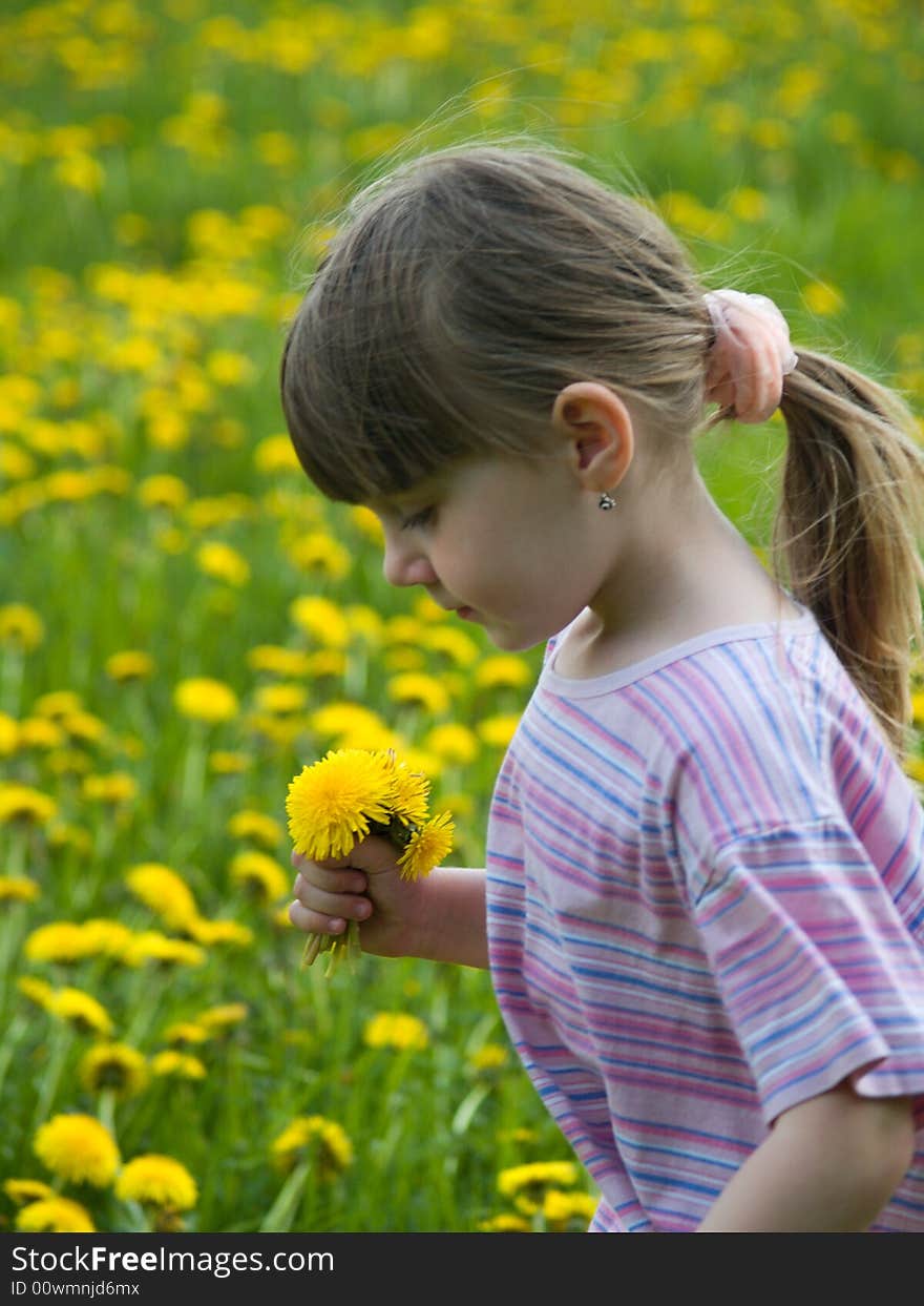 Little girl in the flowering field