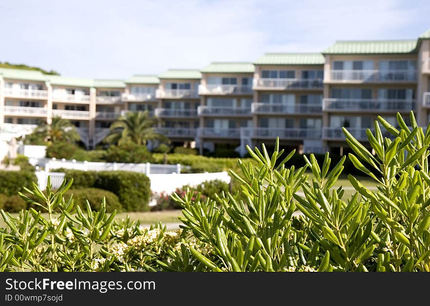 Condos Beyond Shrubs