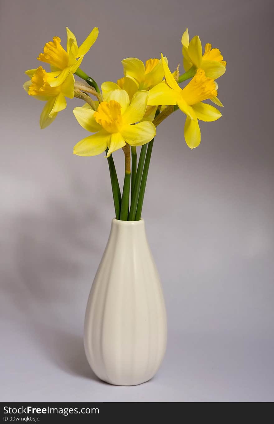 Spring flowers on a grass