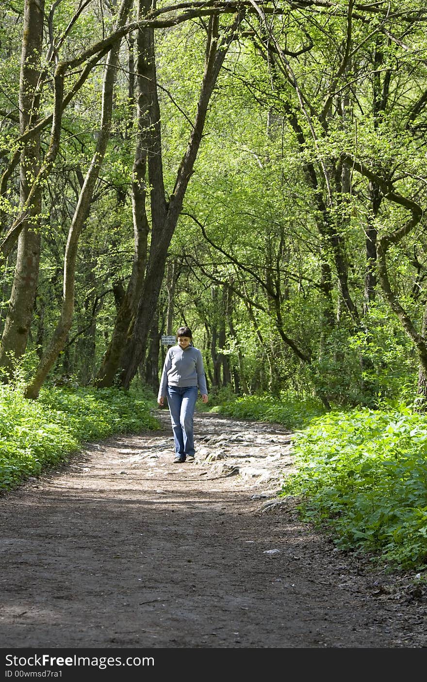 Woman having a walk in the forest