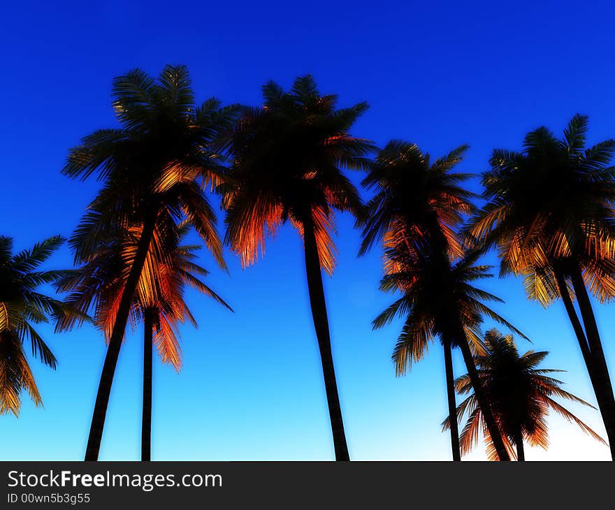 An image of some palm trees against a clear cloudless tropical daylight sky, it would be a good conceptual image representing going on a tropical holiday. An image of some palm trees against a clear cloudless tropical daylight sky, it would be a good conceptual image representing going on a tropical holiday.